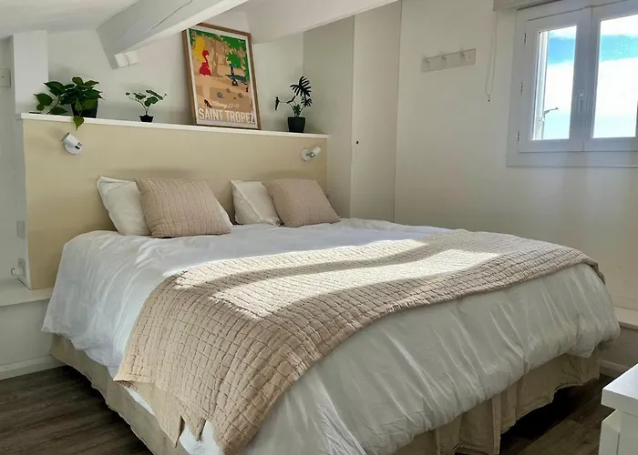 Nid Du Port * Grimaud